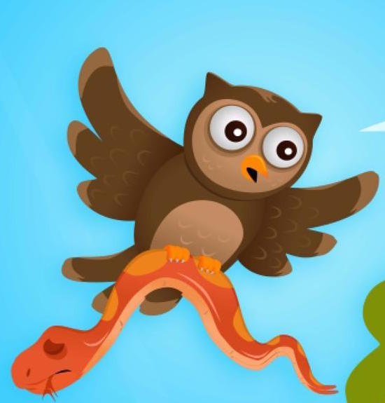 The Fly Over the Pond