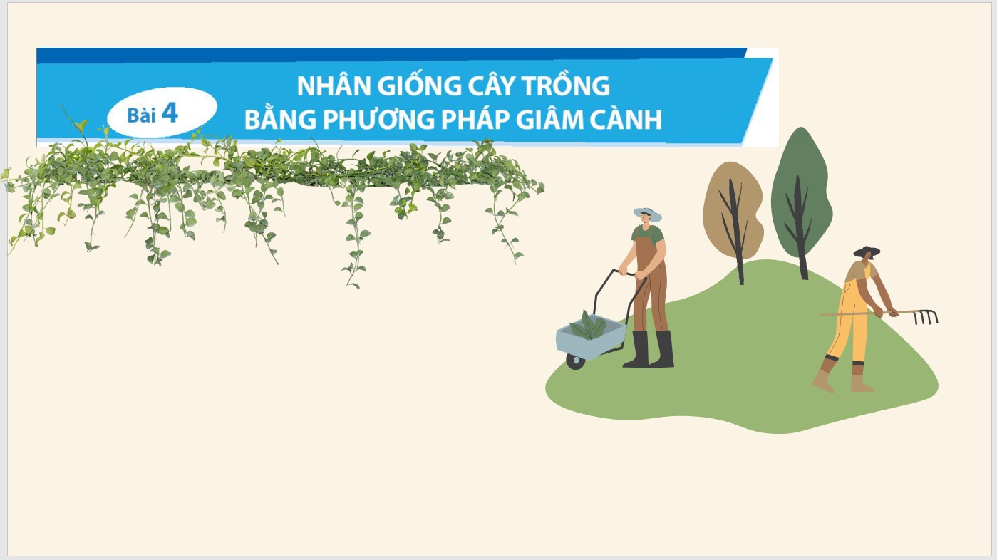 Bài 3: Nhân giống cây trồng bằng phương pháp nhâm cành